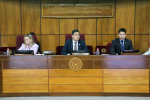 Comisión Permanente de la Familia, la Niñez y la Adolescencia